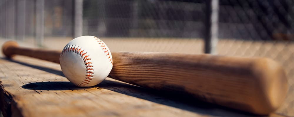 wood baseball bat