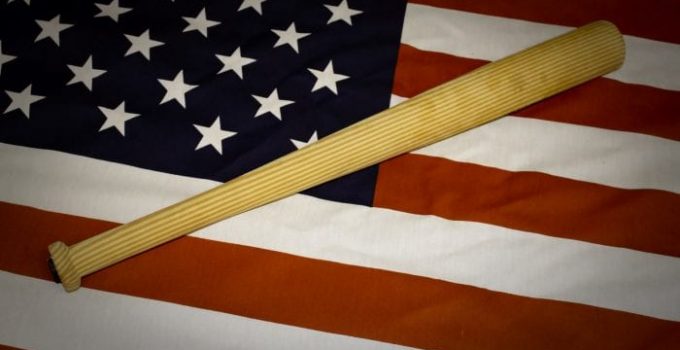 What Wood Is A Baseball Bat Made Of? 6 Types Explained