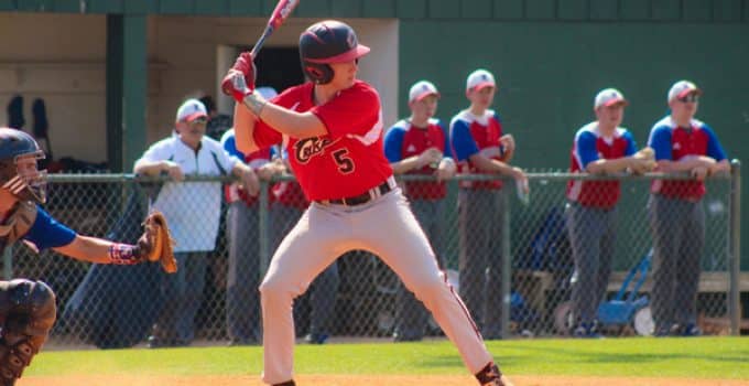 best drop 5 bats 2020